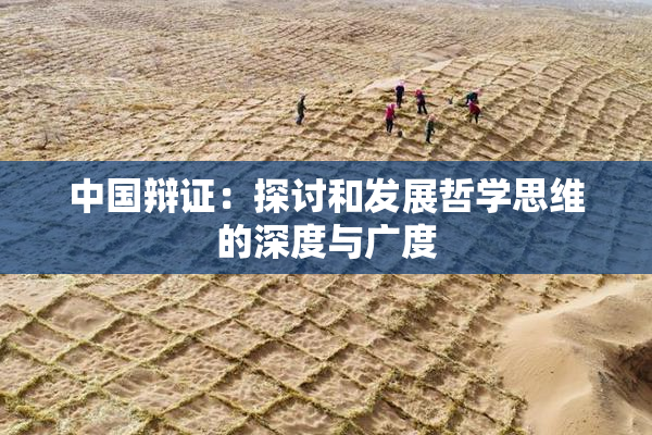 中国辩证：探讨和发展哲学思维的深度与广度