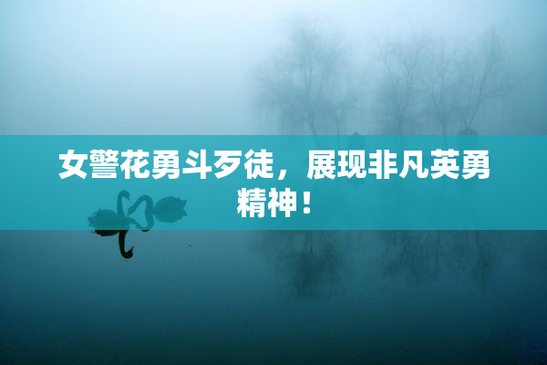 女警花勇斗歹徒，展现非凡英勇精神！