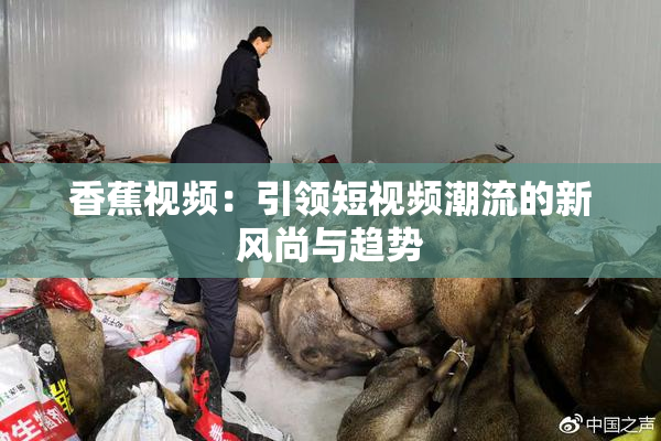 香蕉视频：引领短视频潮流的新风尚与趋势