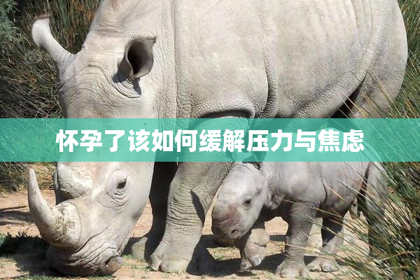 怀孕了该如何缓解压力与焦虑