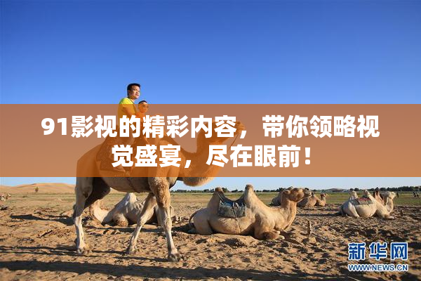 91影视的精彩内容，带你领略视觉盛宴，尽在眼前！