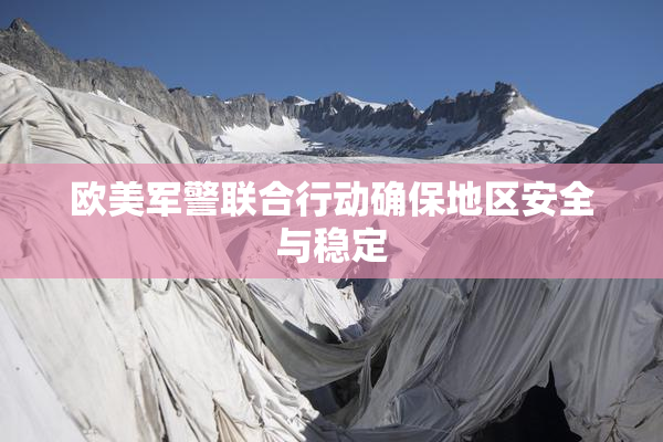 欧美军警联合行动确保地区安全与稳定