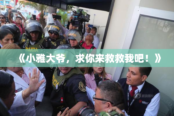 《小雅大爷，求你来救救我吧！》