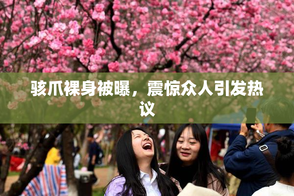 骇爪裸身被曝，震惊众人引发热议
