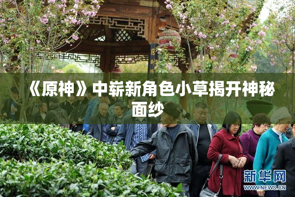 《原神》中崭新角色小草揭开神秘面纱