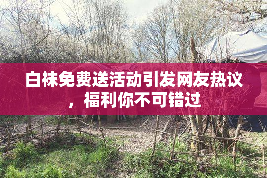 白袜免费送活动引发网友热议，福利你不可错过