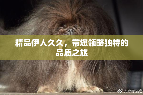 精品伊人久久，带您领略独特的品质之旅