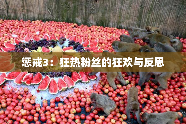 惩戒3：狂热粉丝的狂欢与反思