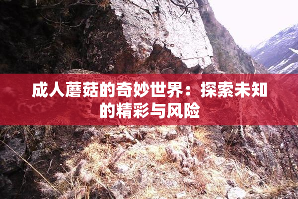 成人蘑菇的奇妙世界：探索未知的精彩与风险