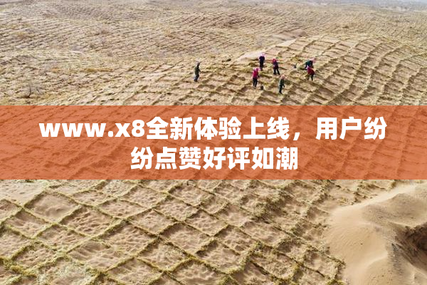 www.x8全新体验上线，用户纷纷点赞好评如潮
