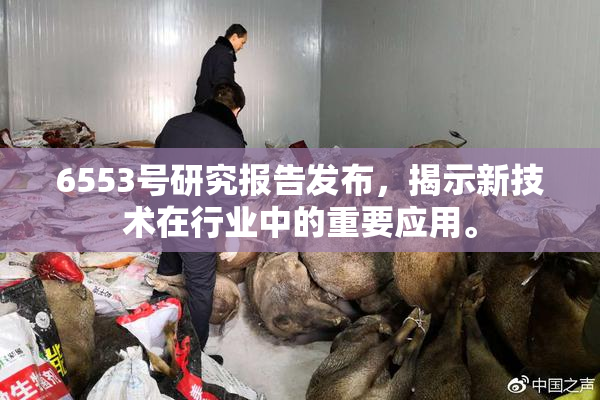 6553号研究报告发布，揭示新技术在行业中的重要应用。