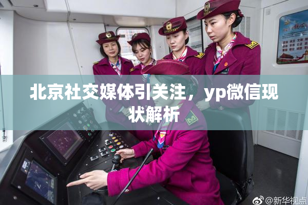 北京社交媒体引关注，yp微信现状解析