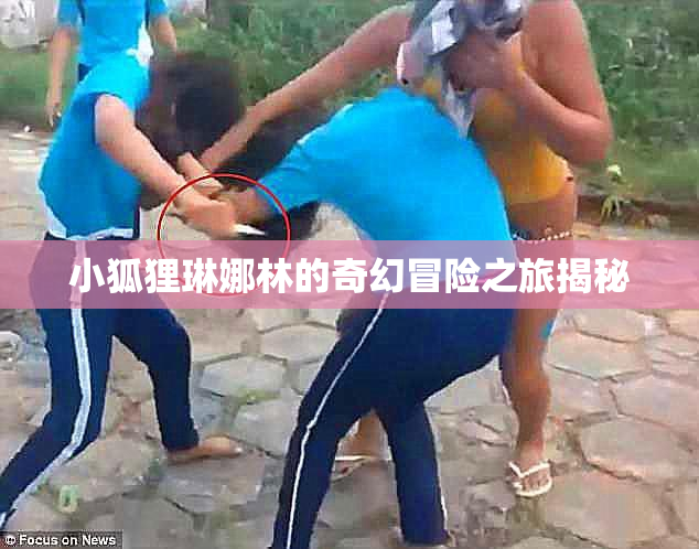 小狐狸琳娜林的奇幻冒险之旅揭秘