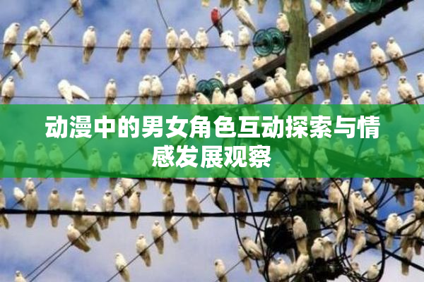 动漫中的男女角色互动探索与情感发展观察