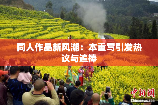 同人作品新风潮：本重写引发热议与追捧