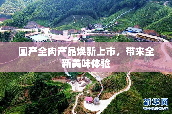 国产全肉产品焕新上市，带来全新美味体验