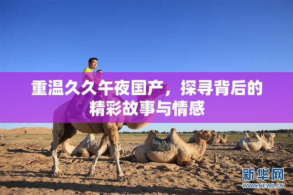 重温久久午夜国产，探寻背后的精彩故事与情感