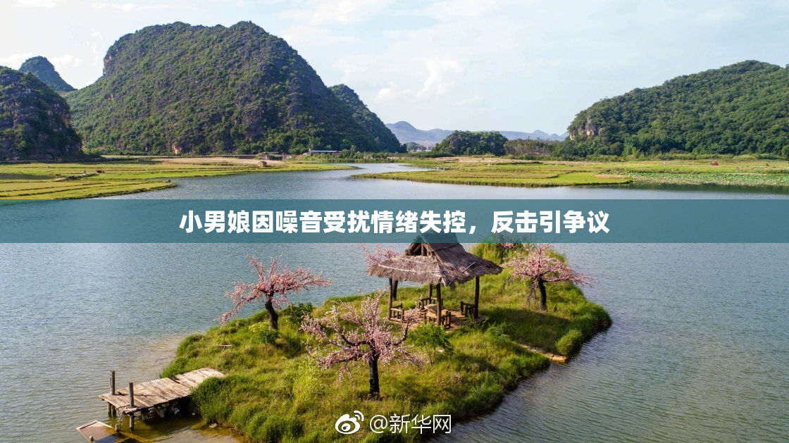 小男娘因噪音受扰情绪失控，反击引争议