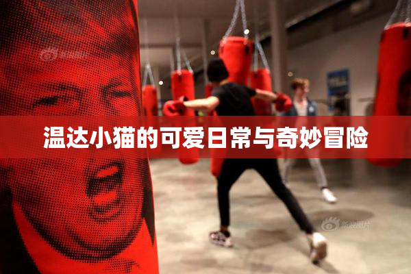 温达小猫的可爱日常与奇妙冒险