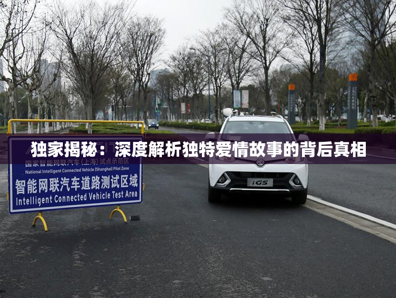 独家揭秘：深度解析独特爱情故事的背后真相