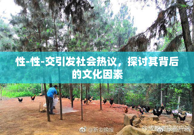 性-性-交引发社会热议，探讨其背后的文化因素