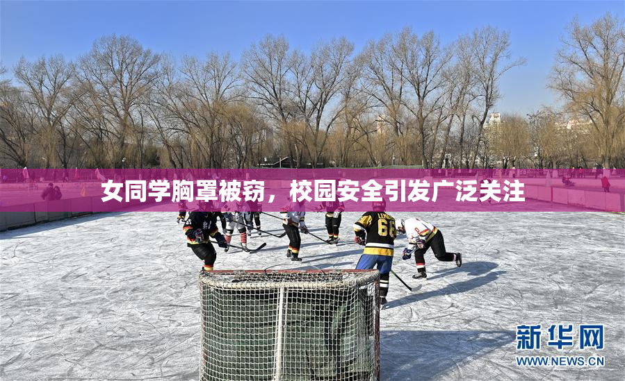 女同学胸罩被窃，校园安全引发广泛关注