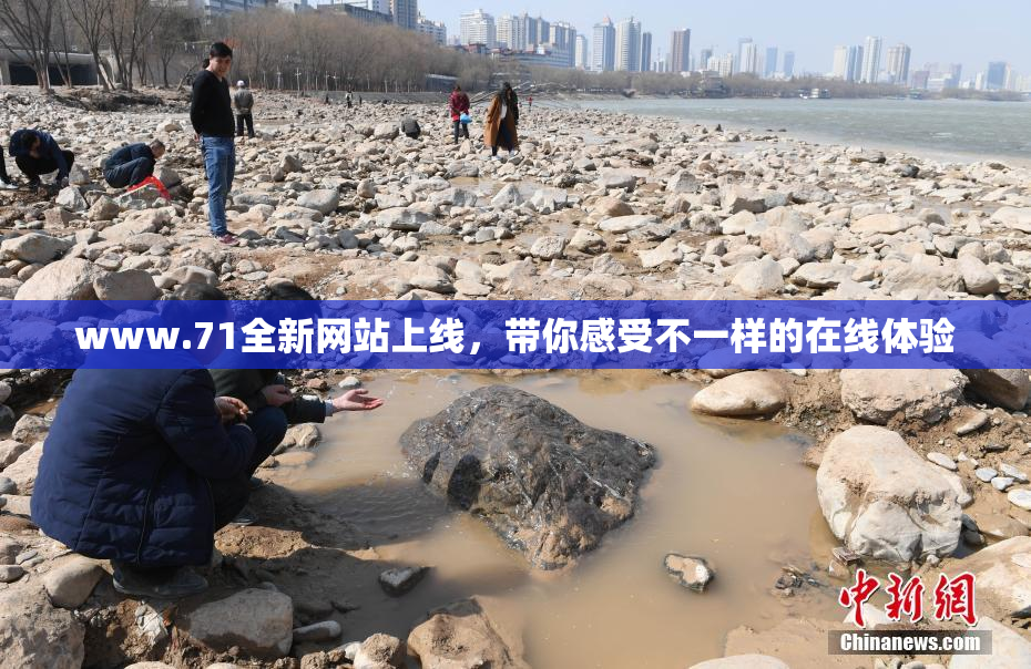 www.71全新网站上线，带你感受不一样的在线体验