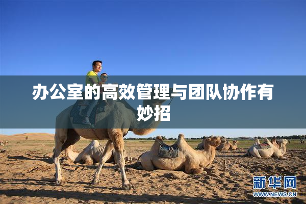 办公室的高效管理与团队协作有妙招