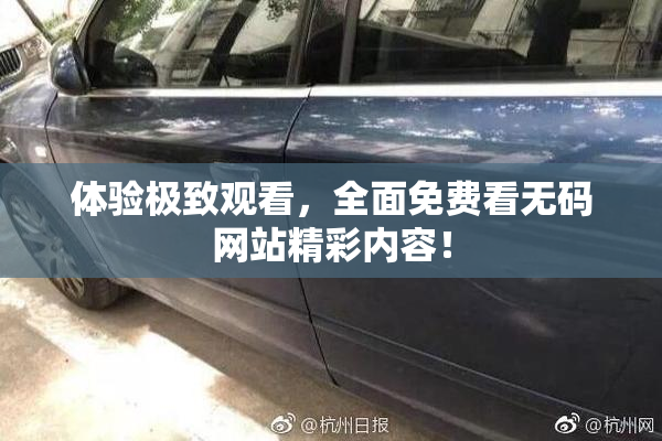 体验极致观看，全面免费看无码网站精彩内容！