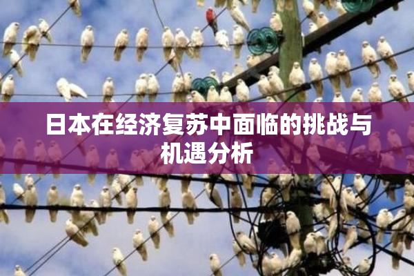 日本在经济复苏中面临的挑战与机遇分析