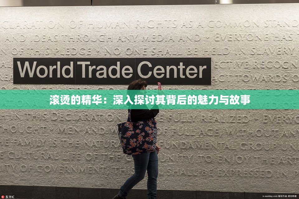 滚烫的精华：深入探讨其背后的魅力与故事
