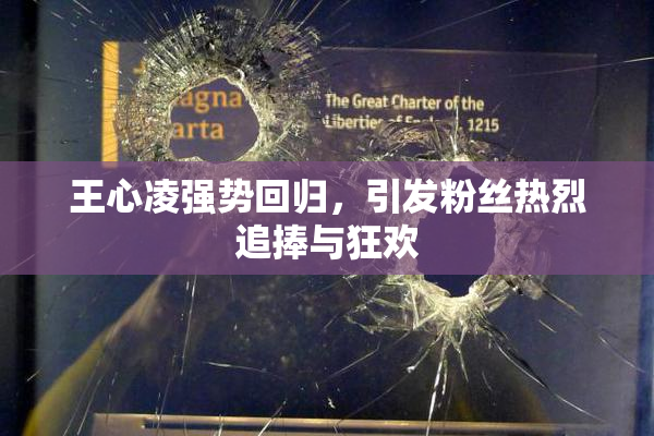 王心凌强势回归，引发粉丝热烈追捧与狂欢