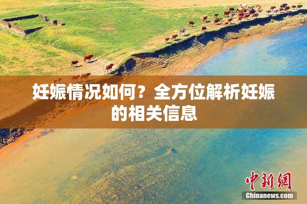 妊娠情况如何？全方位解析妊娠的相关信息
