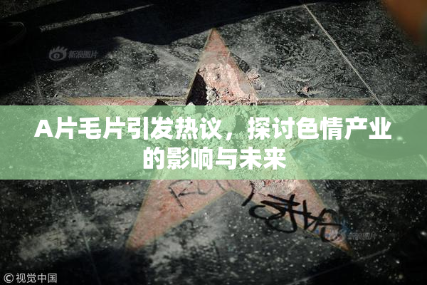 A片毛片引发热议，探讨色情产业的影响与未来