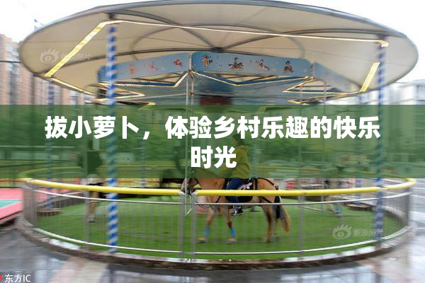 拔小萝卜，体验乡村乐趣的快乐时光