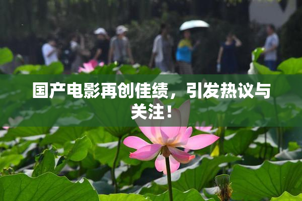 国产电影再创佳绩，引发热议与关注！