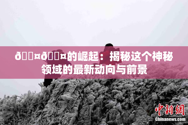 🐤🐤的崛起：揭秘这个神秘领域的最新动向与前景