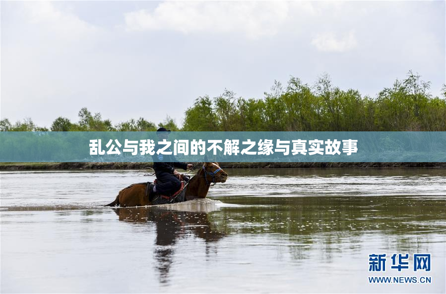 乱公与我之间的不解之缘与真实故事