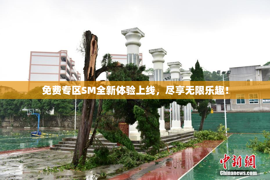 免费专区SM全新体验上线，尽享无限乐趣！