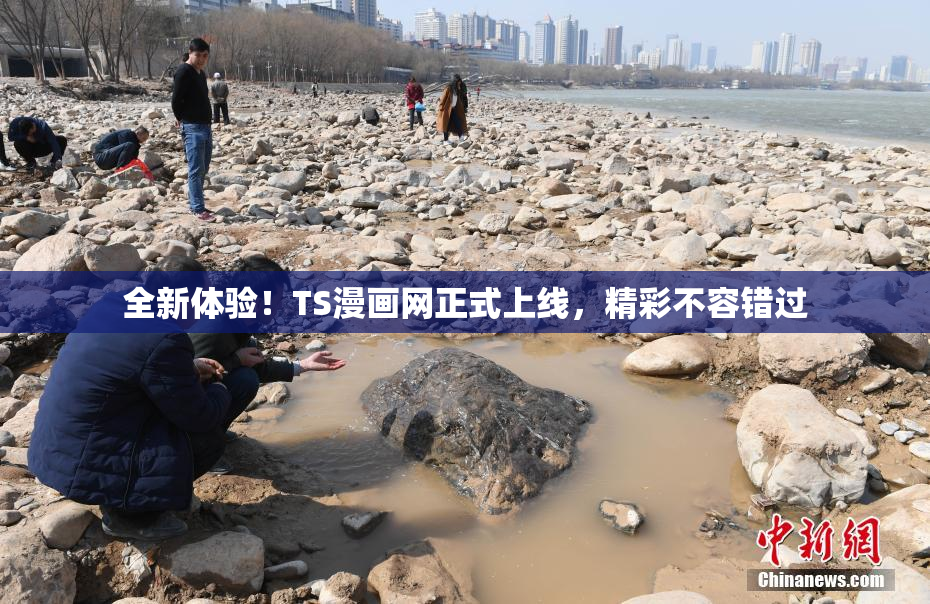 全新体验！TS漫画网正式上线，精彩不容错过