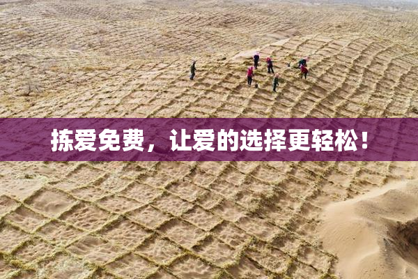 拣爱免费，让爱的选择更轻松！