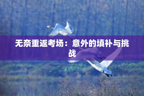 无奈重返考场：意外的填补与挑战
