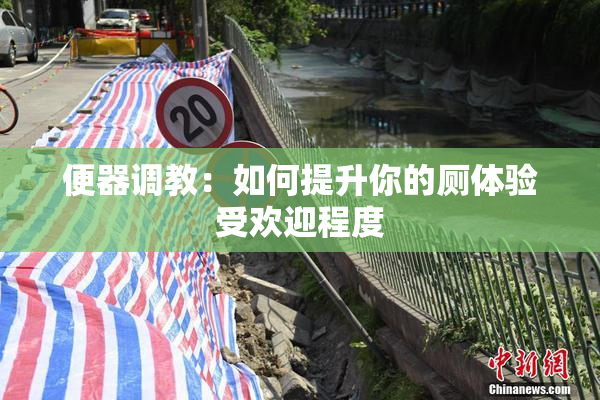 便器调教：如何提升你的厕体验受欢迎程度
