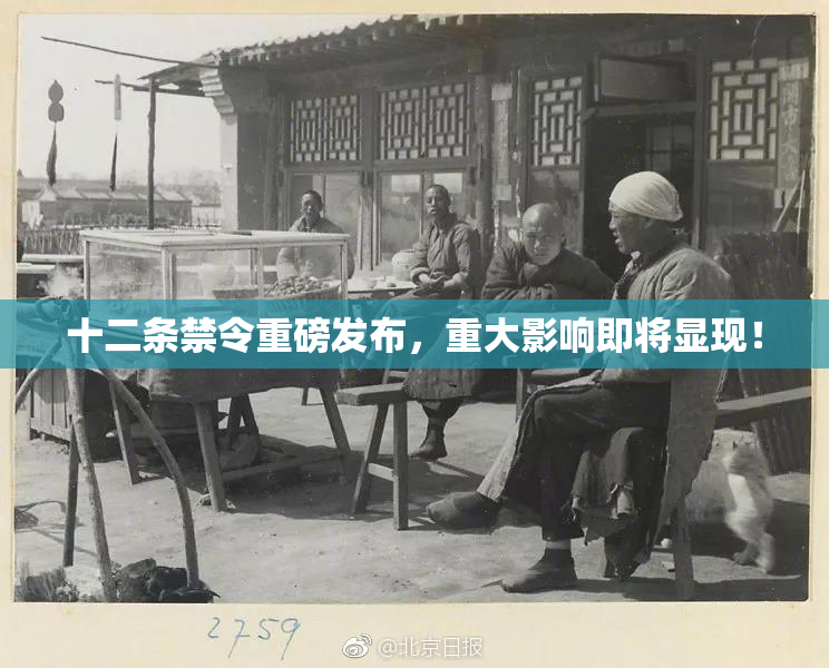 十二条禁令重磅发布，重大影响即将显现！