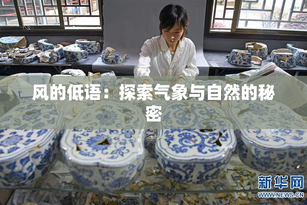 风的低语：探索气象与自然的秘密