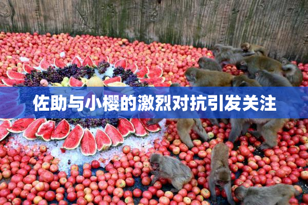 佐助与小樱的激烈对抗引发关注