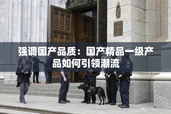 强调国产品质：国产精品一级产品如何引领潮流