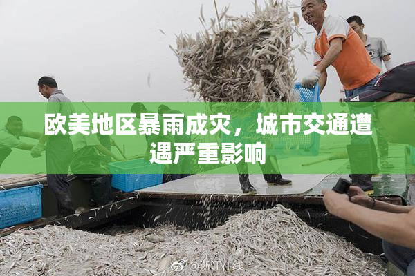 欧美地区暴雨成灾，城市交通遭遇严重影响