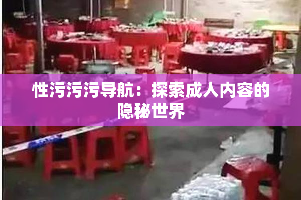 性污污污导航：探索成人内容的隐秘世界