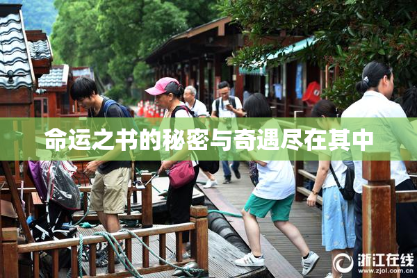 命运之书的秘密与奇遇尽在其中